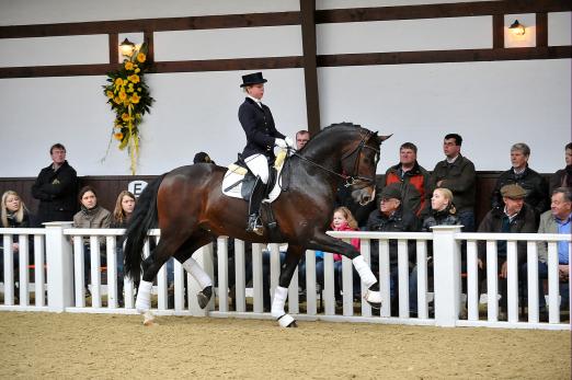 Foto: Therese Nilshagen auf Velvet Touch - Fotograf: Tanja Becker Foto: Therese Nilshagen auf Velvet Touch - Fotograf: Tanja Becker