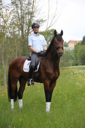 Foto: Vermeer von Vitalis - Fotograf: Velsen 