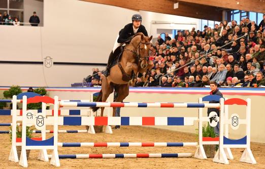 Foto: Vigado v. Vigo d'Arsouilles gewann kürzlich das Finale der Youngster-Tour in Neustadt/Dosse und präsentierte sich anlässlich der Holsteiner Verbandshengstpräsentation mit Lucas Wenz in Elmshorn - Fotograf: Janne Bugtrup