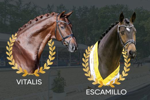 Foto: Vitalis und Escamillo - Fotograf: Mark gr. Feldhaus und LL-Foto
