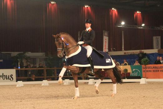 Foto: Als besonderes Highlight wird der international unter Hans Peter Minderhoud erfolgreiche Vivaldi v. Krack C - Jazz im Oldenburger Pferde Zentrum Vechta erwartet - Fotograf: De Paardenkrant