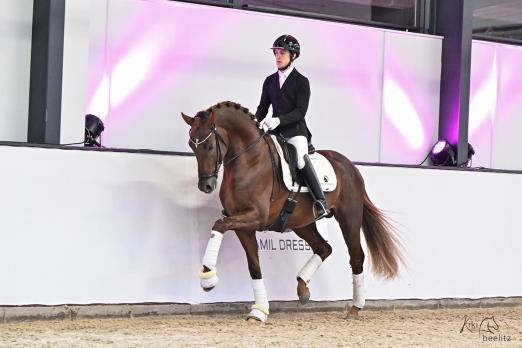 Foto: Vivamor unter Santiago Damil - Fotograf:Kiki Beelitz