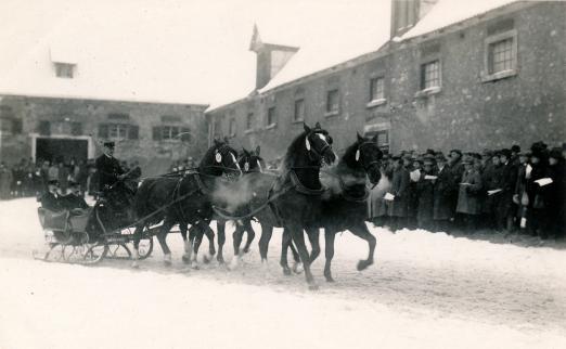 Foto: Vorführung der Hengst im Gestütshof Offenhausen Viererzug - Fotograf: Archiv Marbach 