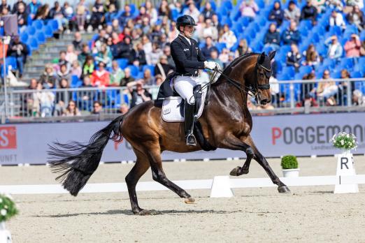 Foto: Beste deutsche Kombination waren erneut Frederic Wandres und Bluetooth OLD im Grand Prix Special - Fotograf: sportfotos-lafrentz.