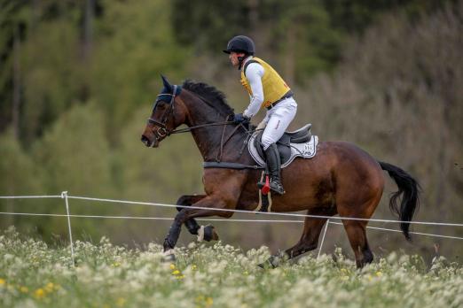 Foto: Michael Jung/fischerChipmunk FRH - Fotograf: equistock.de/Waldenmaier