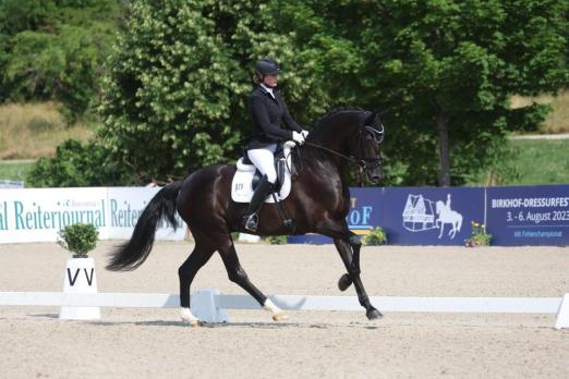 Foto: Anna Lisa Schepper Birkhofs Firefly 