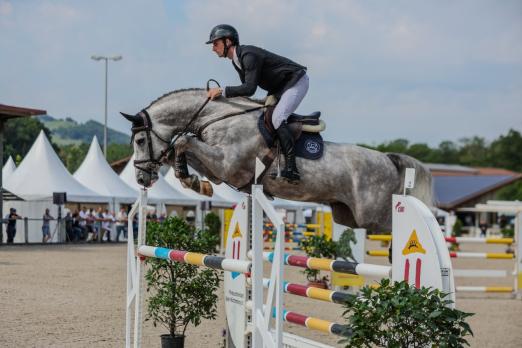 Foto:Weilheim Springe KL.M Birhhofs Arezzo Man 