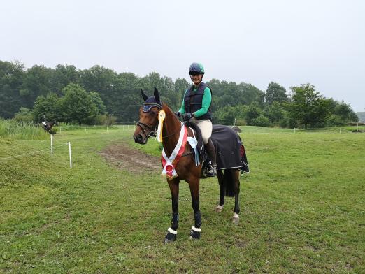  Foto: Westfalen-Championesse Lykke B v. Lestat/Lucio Silla xx - Fotograf: Westfälisches Pferdestammbuch