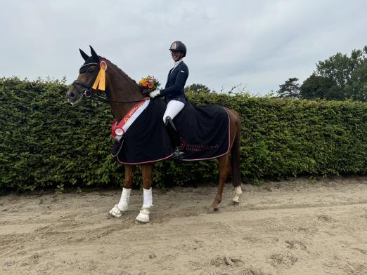 Foto: Westfalen-Champion der sechsjährigen Dressurpferde Synergy HW v. Secret - Fotograf: Westfalenpferde