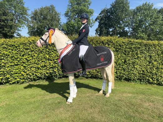 Foto: Westfalen-Champion der fünfjährigen Dressurponys - Gold Garant v. Golden Grey NRW - Fotograf: Westfalenpferde