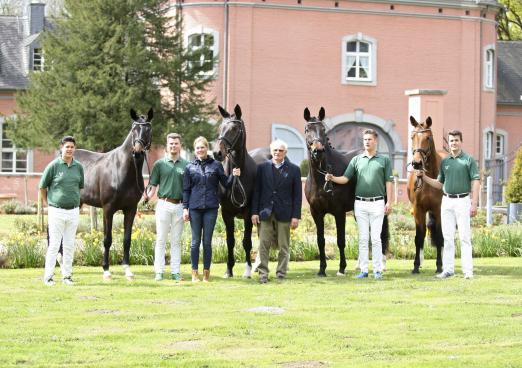 Foto: Hannoveraner Züchter aus dem Rheinland präsentierten ihre Pferde beim Hannoveraner Tag im Pferdezentrum Schloss Wickrath - Fotograf: Hannoveraner Verband, Irene Busen