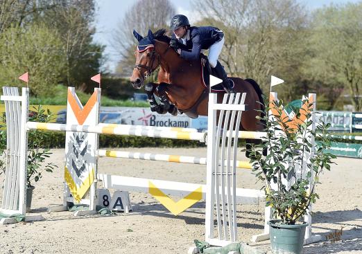 Foto: Wilhelm Winkeler und Skara setzten sich im Großen Preis in Damme an die Spitze - Fotograf: Rüchel