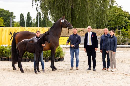 Foto: Candinsky v. Cornet Obolensky/Contendro mit Züchterin Deborah Johannhardt, Kundenberater Steffen Werner, Auktionsleiter Wilken Treu und den Kundenberatern Thomas Schönig und Lisa von Aspern - Fotograf: Hannoveraner Verband