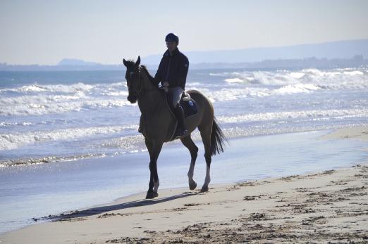 Foto: Scott Brash genießt den Strand von Oliva Nova - Fotograf: Julia-Raffaela Billmann/comtainment GmbH