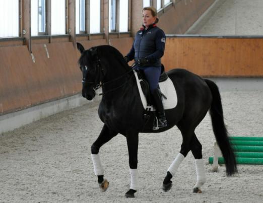 Foto: Karen Tebar und Don Luis im Training - Fotograf: privat