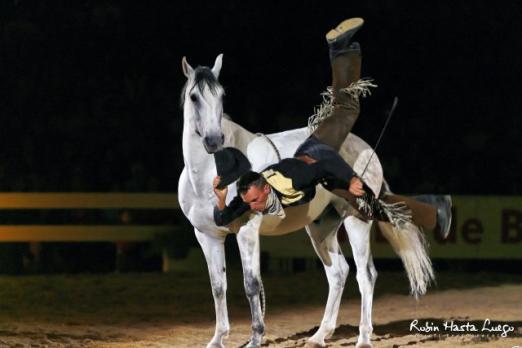 Foto: Da gibt’s viel zu Lachen: Die Freiheitsdressur mit Guillaume Maurice Becar - Fotograf: Robin Hasta Luego
