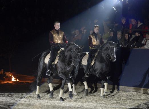 Foto: „Generalprobe“ bei der Marbacher Hengstvorstellung: Oliver Jubin und HSM Rolf Eberhardt auf HOCHFEIN - Fotograf: Schreiner 