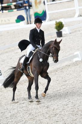 Foto: Felix Etzel/Bandit 436 - Fotograf: Thomas Hartig/equistock.de