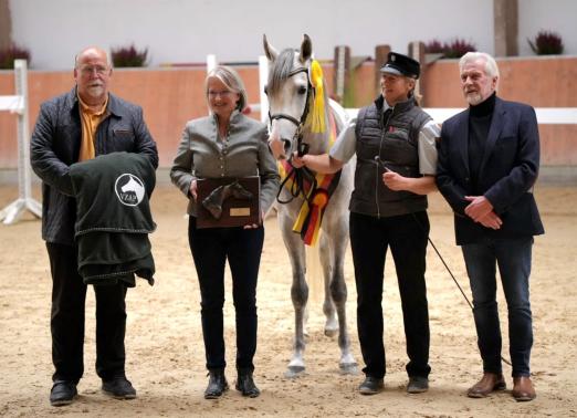 Foto: Siegerhengst WM Daraschad ox aus dem HuLG Marbach und Gratulanten: Körkommissar Walter Fath (li.) und VZAP-Vorsitzender Manfred Jedzini mit Landoberstallmeisterin Dr. Astrid von Velsen-Zerweck und Daraschads Gestütswärterin bei der Ehrung in Kranichstein 2024 - Fotograf: Angelika Schmidt