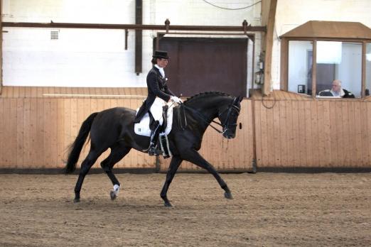 Foto: Mit Spring- und Dressurprüfungen bis zur Finalqualifikation zum Nürnberger Burg-Pokal eröffnet der Reitstall Klövensteen mit dem Herbstturnier die Hallensaison - Fotograf: Archiv/ Tierfotografie Huber Foto: Mit Spring- und Dressurprüfungen bis zur Finalqualifikation zum Nürnberger Burg-Pokal eröffnet der Reitstall Klövensteen mit dem Herbstturnier die Hallensaison - Fotograf: Archiv/ Tierfotografie Huber