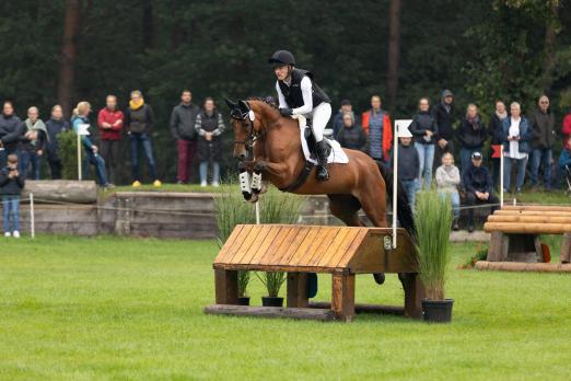 Foto: Eine attraktive Auktionsofferte am 1. Dezember in den Holstenhallen ist die Trakehner Halbblutstute Haila v. Integral xx, erfolgreiche Teilnehmerin der Bundeschampionate 2023 - Fotograf: Meike Düsterwald
