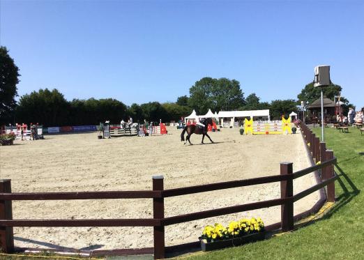 Foto: Aus CSI wird CSN Ehlersdorf: Jörg Naeve arbeitet daran, ein Turniersportangebot "mit Abstand" zu bieten - Fotograf: Pegamo Networks