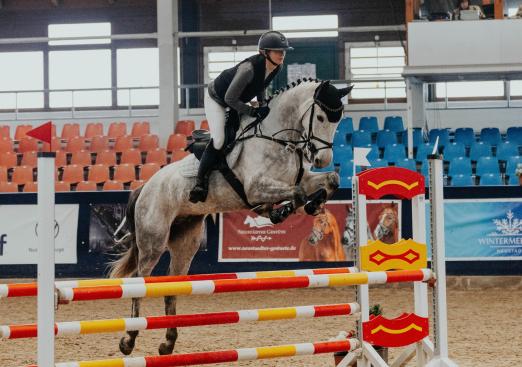 Foto: Beginnt schon am Donnerstag mit Springpferdeprüfungen für die ganz jungen Pferde - das Wintermeeting II in der Graf von Lindenau-Halle in Neustadt-Dosse - Fotograf: reitsportmedia