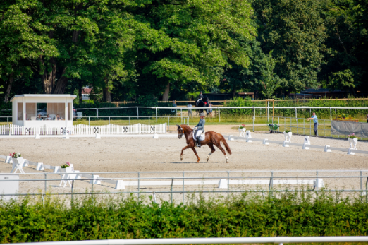 Foto: Großzügig bemessen und ab dem kommenden Wochenende Standort der Deutschen Jugendmeisterschaften Reiten - das Reitsportgelände in der Lindhooper Straße in Verden - Fotograf: Juliane Fellner