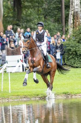 Foto: Am Start bei den Trakehner Jungpferde-Championaten: der amtierende Bundeschampion der Vielseitigkeitspferde, Isselhooks First Sight TSF unter Sophie Leube - Fotograf: Sportpferdefotografie Tina Keller