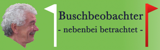 Foto: "Buschbeobachter" Horst Müller