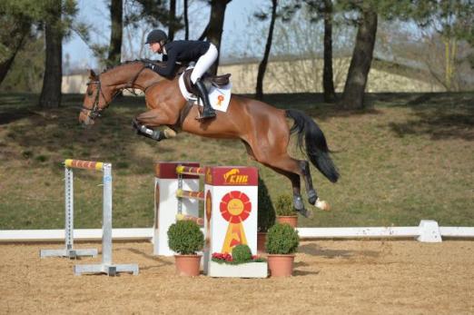 Foto: Centenary v. Candillo: Finalist bei den siebenjährigen Springpferden in Warendorf. Ein Juwel der Schmuckstücke-Kollektion - Fotograf: Hubert Fischer