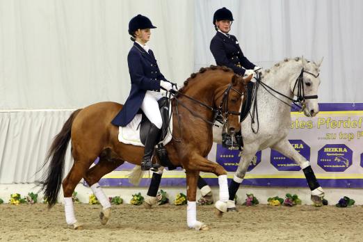 Foto: Pas de Deux der Reitponyhengste Chantre (Louisa Lieber) und Online Ixes (Henrike Habermann) - Fotograf: Foto: Ponyverband Hannover/ Pantel