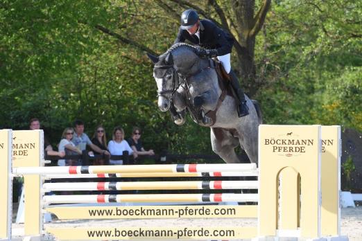 Foto: Der Böckmann-Hengst Checkter von Cellestial-Lord Pezi unter Gilbert Böckmann wird der Züchtern in der Decksaison vollständig zur Verfügung stehen - Fotograf: Kiki Beelitz
