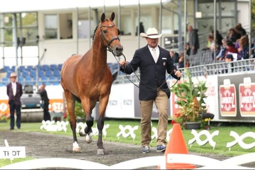 Foto: Chester Weber, erfolgreichster Fahrer der USA, beim Vet Check in Aachen - Fotograf: ALRV/Andreas Steindl