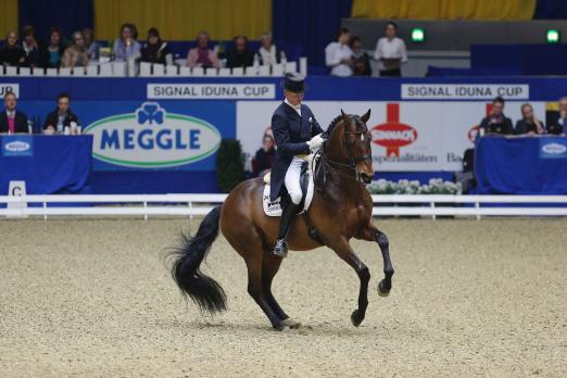 Foto: Mit Hubertus Schmidt im Sattel international erfolgreich - der gekörte Trakehner Hengst Imperio - Fotograf: Lafrentz