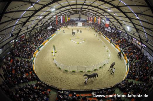 Foto: Die Holstenhallen Neumünster sind im Oktober Schauplatz des Trakehner Hengstmarktes - Fotograf: Lafrentz