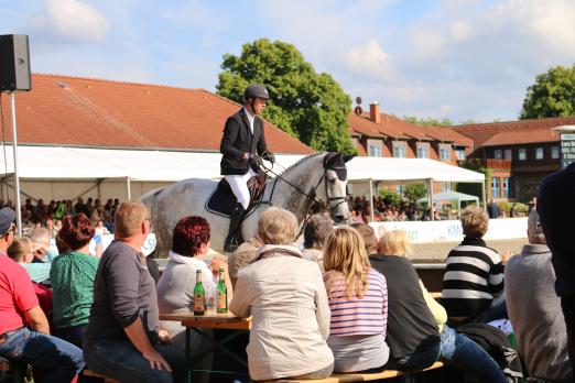 Foto: Springsport, Polo, Unterhaltung - Pferde und Reiter zum Greifen nah gibt es beim KMG Cup in Sommerstorf - Fotograg: Rehpenning