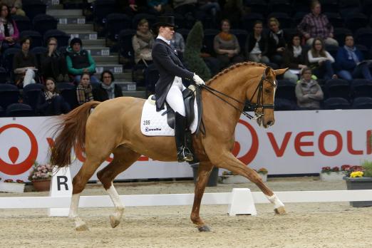 Foto: Nadine Husenbeth und Florida gewinnen den Grand Prix der Löwen Classics 2015 - Fotograf: Jürgen Stroscher