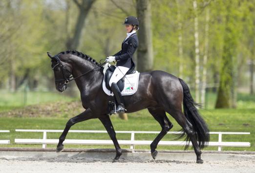 Foto: Bildschön, schwarz und ein Siegertyp - Fürsten-Look und Isabell Freese waren die erste Sieger des Pferdefestivals Redefin - Fotograf: Stefan Lafrentz