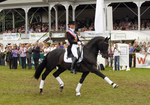 Foto: Trakehner Hengst King Arthur mit Petra Wilm – hier bei den Landesmeisterschaften vor wenigen Jahren in Bad Segeberg. - Fotograf: Stefan Lafrentz