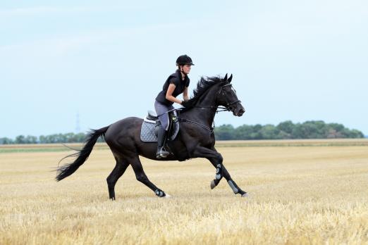 Foto: Grenzenloses Reiten stärkt die Tourismusbranche - Fotograf: Fotolia/FotoLS