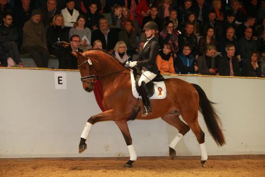 Foto: Cosmopolitan: Preisspitze der Reitpferdeauktion - Fotograf: Olav Krenz