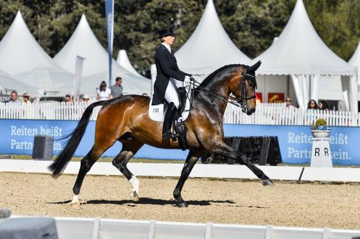 Foto: Crystal Friendship unter Anabel Balkenhol: vom NÜRNBERGER BURG-POKAL 2017 in München-Riem zum Grand-Prix-Sieger - Fotograf: Maximilian Schreiner