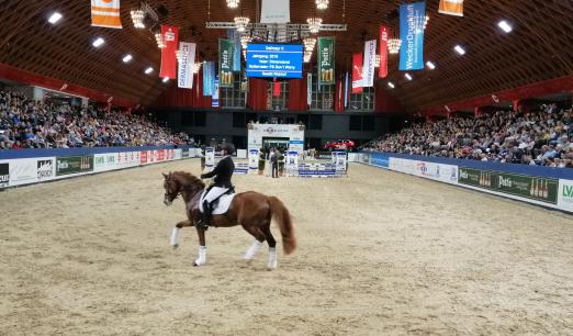 Foto: Die Hengstgala des K+K Cup in Münster sorgte für Riesenandrang in der Halle Münsterland - Fotograf: ESCON-Marketing GmbH