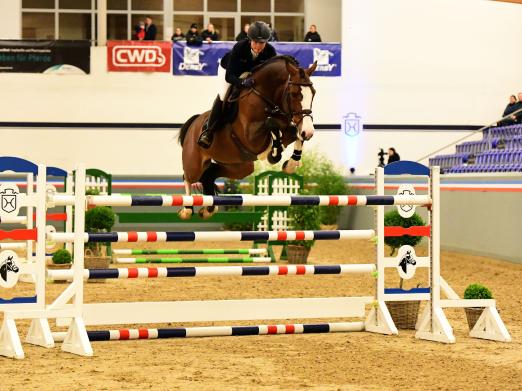 Foto: Sophie Hinners kam mit Million Dollar nach Elmshorn und präsentierte den Plot Blue-Sohn in hervorragender Form - Fotograf: Janne Bugtrup