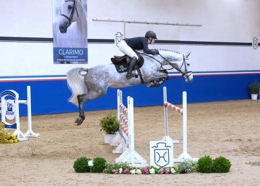 Foto: Mien Deern v. Million Dollar stammt aus der direkten Mutterlinie von erfolgreichen Sportpferden wie Glock's Cognac Champblanc und ist selbst schon altersentsprechend platziert - Fotograf: Janne Bugtrup Foto: Mien Deern v. Million Dollar stammt aus der direkten Mutterlinie von erfolgreichen Sportpferden wie Glock's Cognac Champblanc und ist selbst schon altersentsprechend platziert - Fotograf: Janne Bugtrup