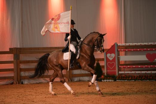 Foto: Elitehengst Don Diamond eröffnete 2019 die DSP-Hengstgala am Freitagabend mit Anna Casper im Sattel - Fotograf: Björn Schroeder