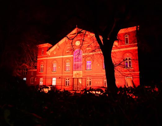 Foto: Auf dem Verbandsgelände in Elmshorn finden am 22. und 23. März die Holsteiner Hengsttage und Frühjahrsauktion statt - Fotograf: Janne Bugtrup