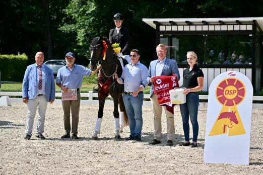 Foto: Benison, den Champion der dreijährigen Hengste 2022 - Fotograf: Björn Schroeder 