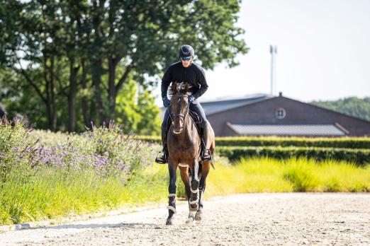 Foto: Anders als bei den Weltmeisterschaften 2022 wird Henrik von Eckermann dieses Championat mit Minute Man antreten - Fotograf: ALRV/Jasmin Metzner